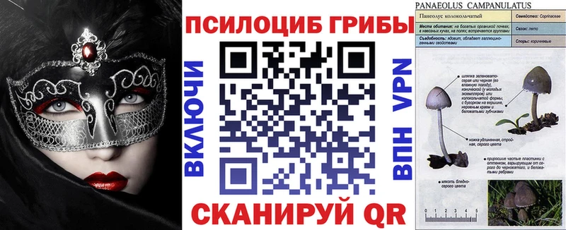 Галлюциногенные грибы прущие грибы  ОМГ ОМГ ТОР  Удомля 